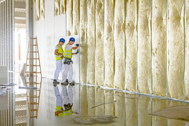 Best Energy Efficiency Solutions in Lake Tapps, WA
